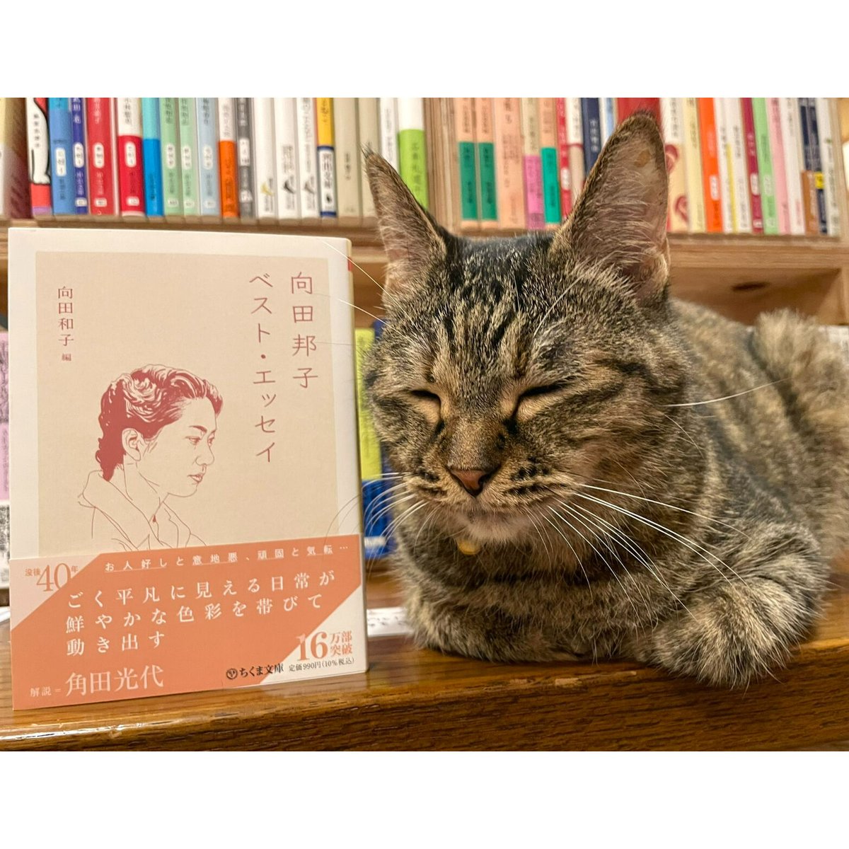 恋愛 エッセイ 指南書 一冊900円！ 恋愛 エッセイ 指南書 一冊900円！ 恋愛 エッセイ 指南書 一冊