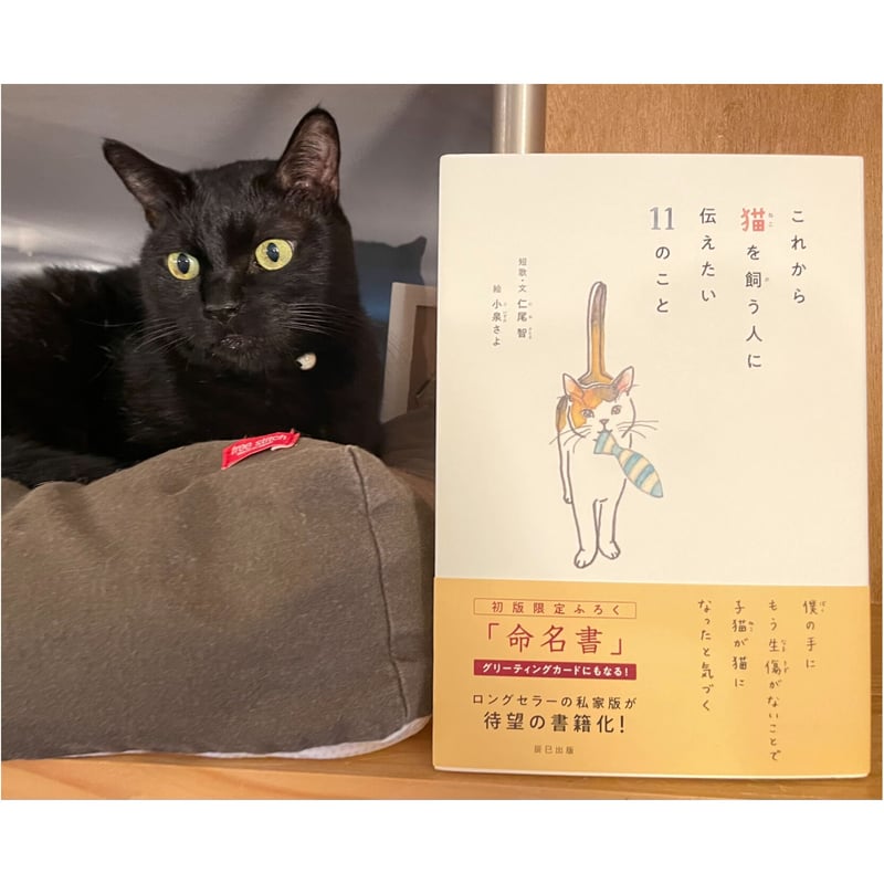 これから猫を飼う人に伝えたい11のこと | Cat's Meow Books これから猫を飼う人に伝えたい11のこと | Cat's Meow Books