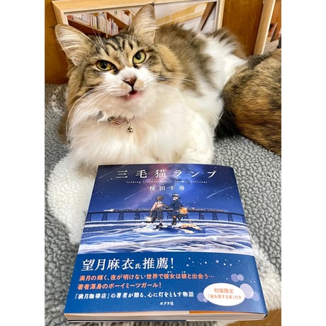 CATEGORY 一期一会の直筆サイン入り | Cat's Meow Books Virtua