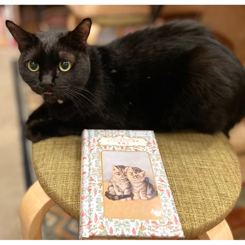 ちいさな手のひら事典 子ねこ | Cat's Meow Books Virtual Shop β