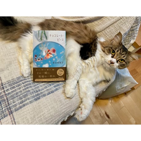 みゃうさん専用　11本 みゃうさん専用 11本 みゃうさん専用 11本 Cat's Meow Books Virtual