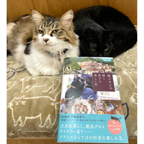 CATEGORY 2025年2月 | Cat's Meow Books Virtual Shop β