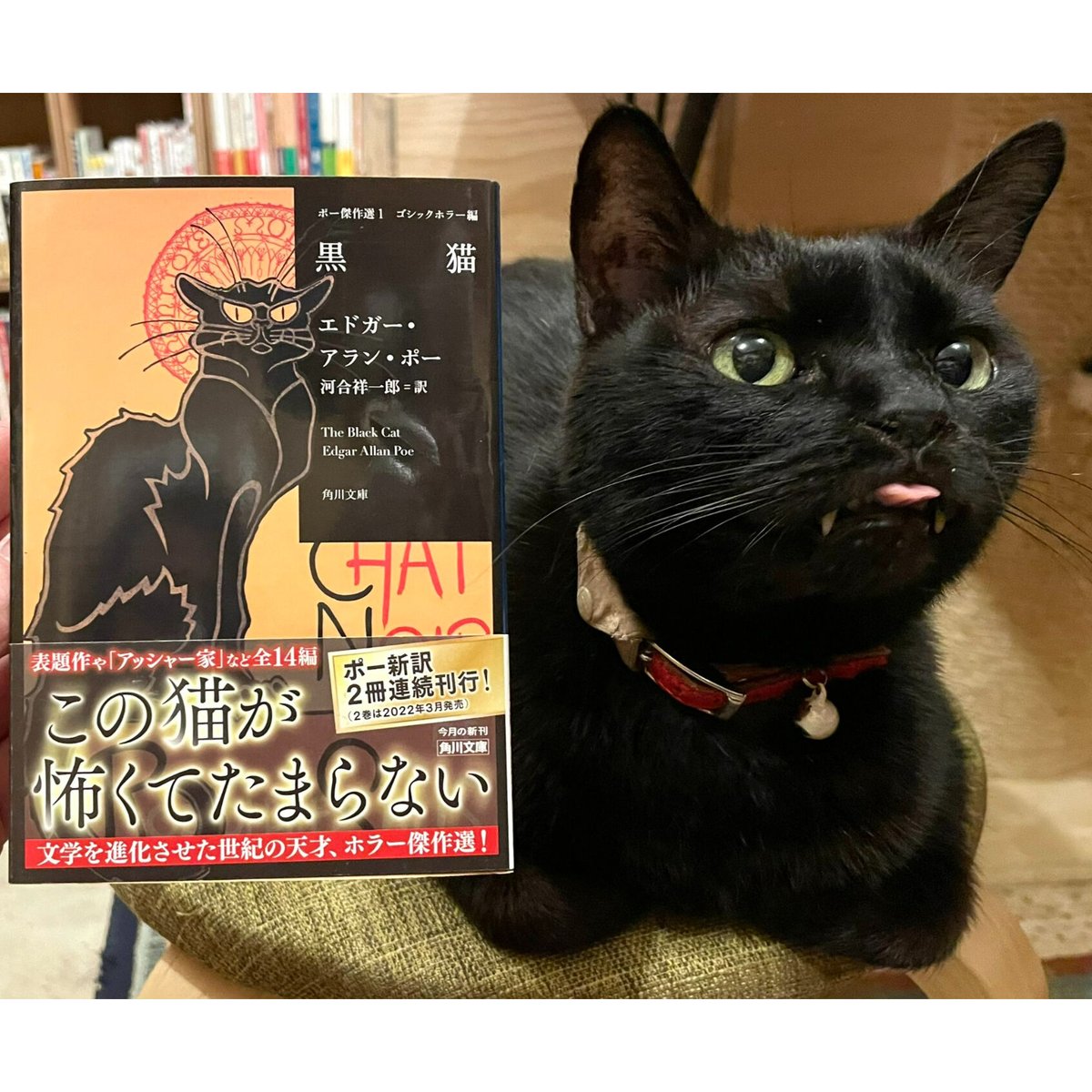 黒猫 ポー傑作選1 ゴシックホラー編 | Cat's Meow Books