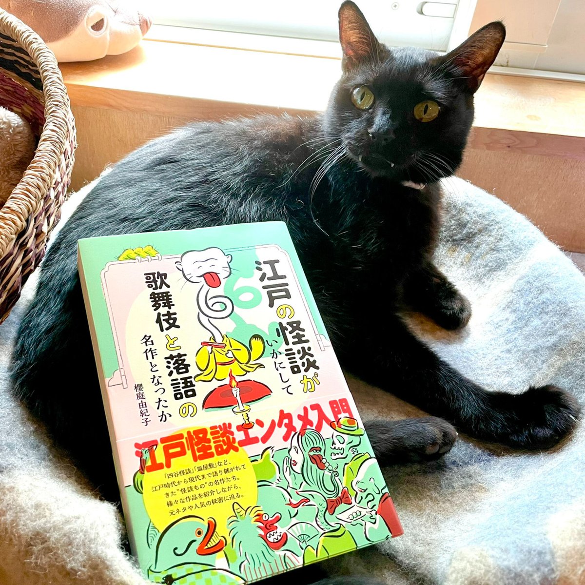 Cat's　Books　Meow　江戸の怪談がいかにして歌舞伎と落語の名作となったか　Vi...