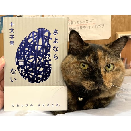 CATEGORY 一期一会の直筆サイン入り | Cat's Meow Books Virtua