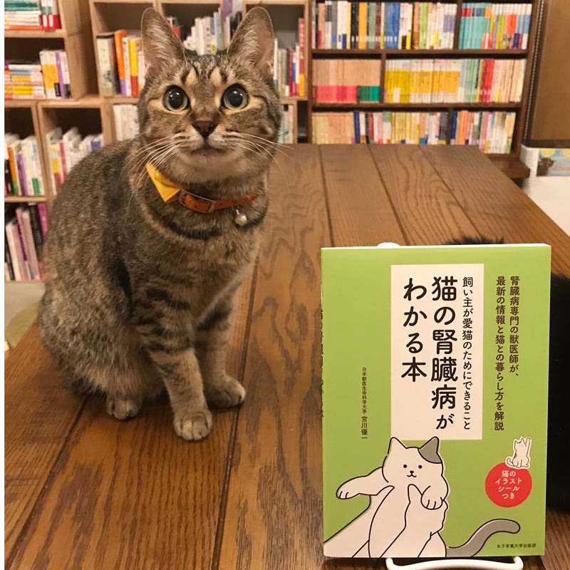 猫の腎臓病がわかる本 | Cat's Meow Books Virtual Shop β 猫の腎臓病がわかる本 | Cat's Meow Books Virtual Shop β