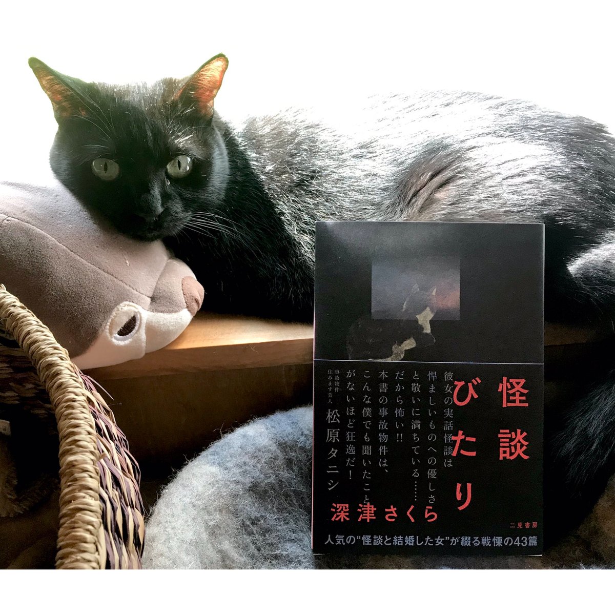 怪談びたり | Cat's Meow Books Virtual Shop β