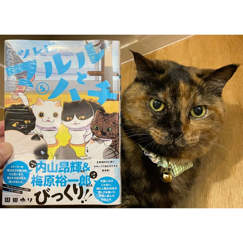 ツレ猫 マルルとハチ（1～6巻） | Cat's Meow Books Virtual Shop β
