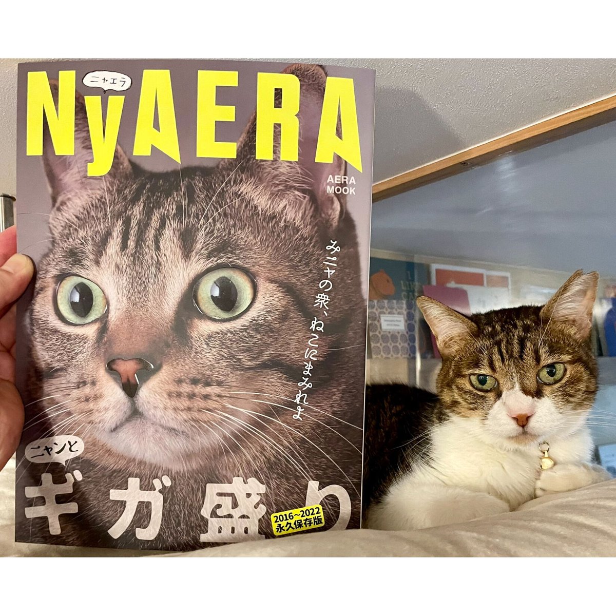 NyAERA ギガ盛り | Cat's Meow Books Virtual Shop β