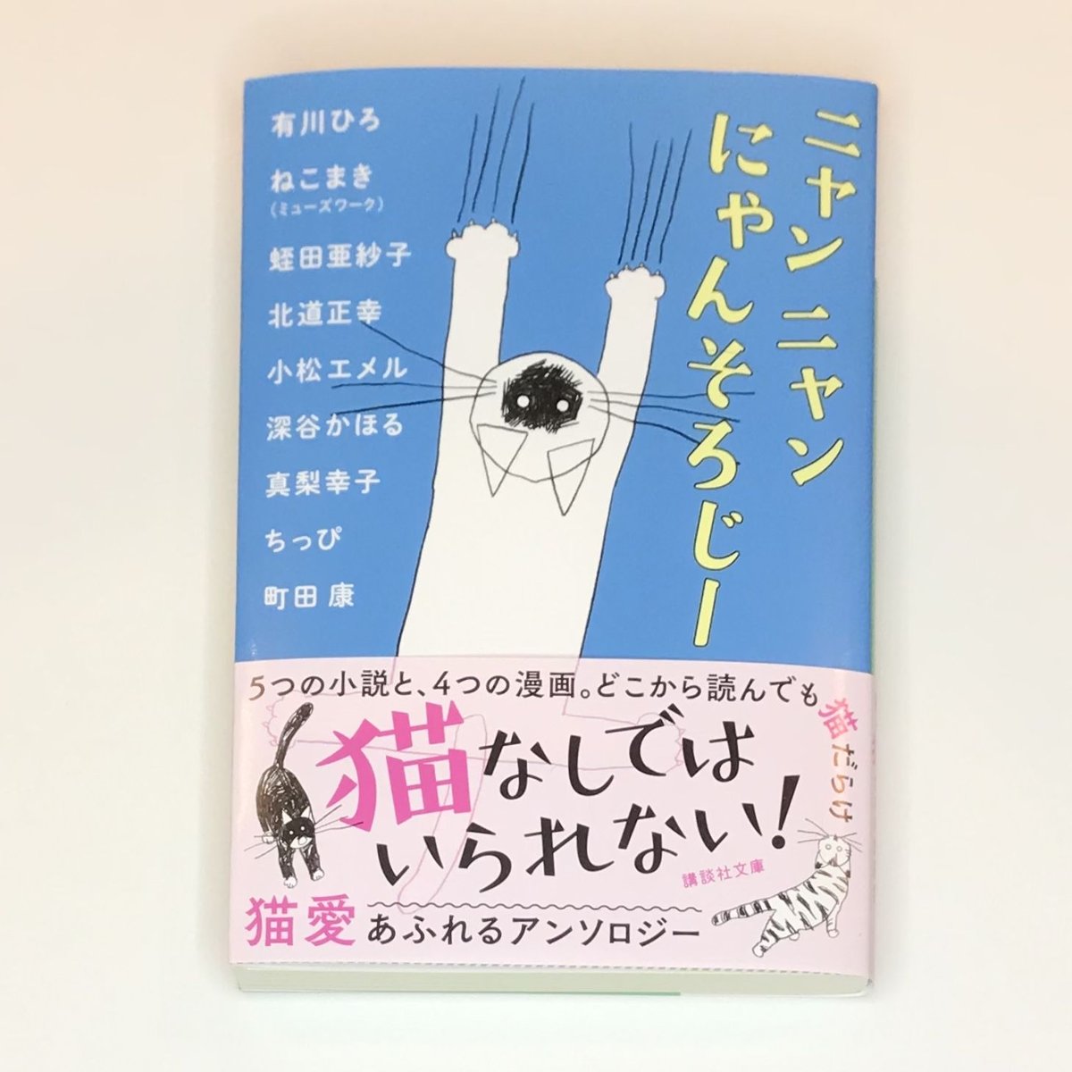 ニャンニャンにゃんそろじー（文庫） | Cat's Meow Books Virtual Sh