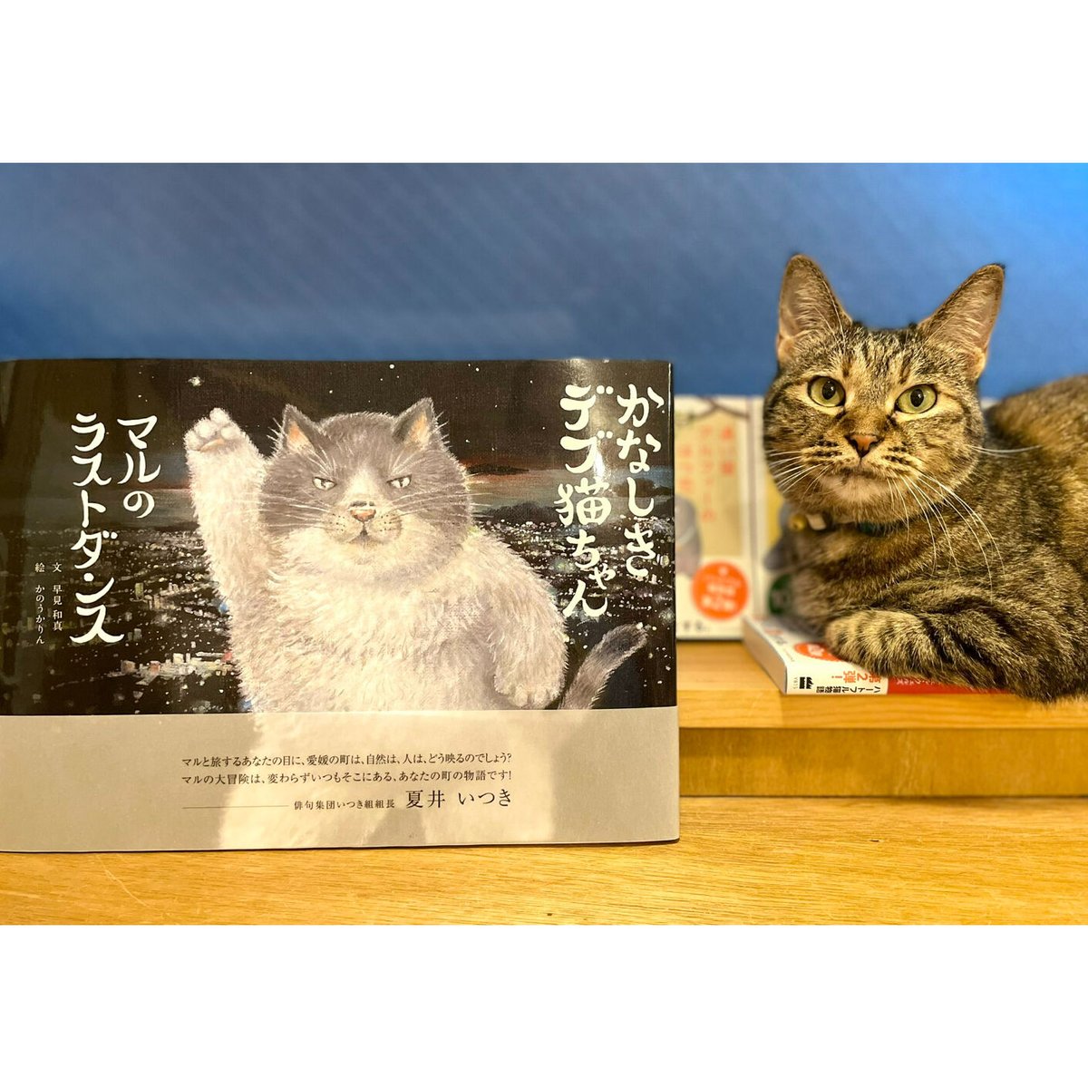 かなしきデブ猫ちゃん　Cat's　マルのラストダンス　Meow　Books　Virtual...