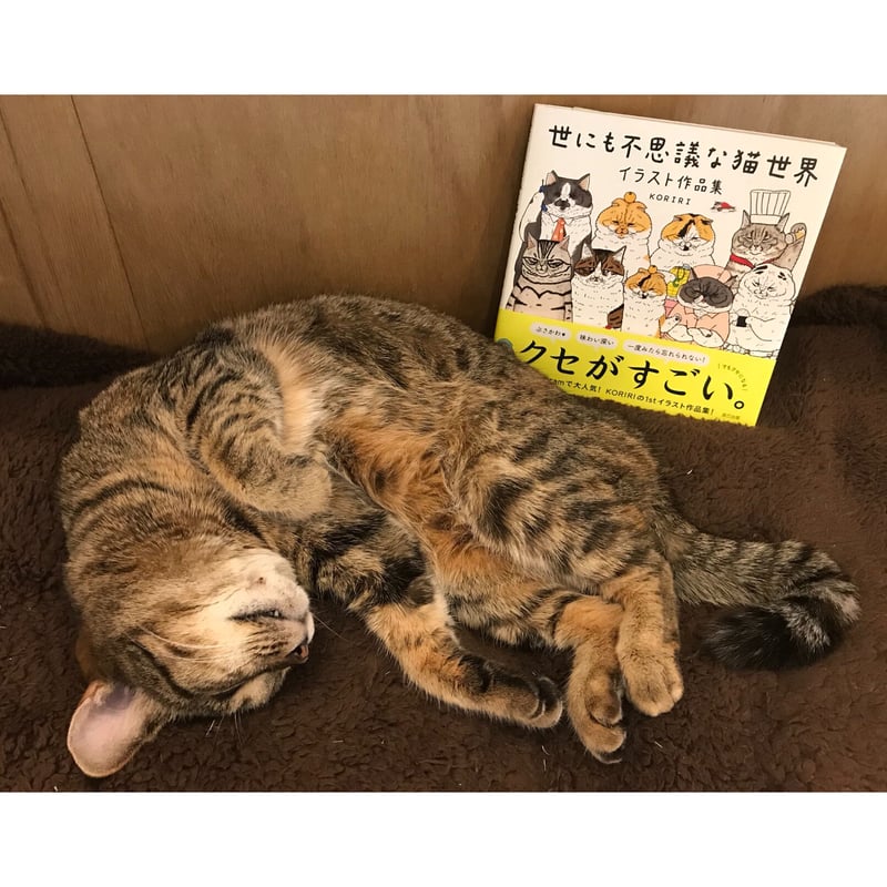 世にも不思議な猫世界 イラスト作品集 | Cat's Meow Books Virtual S