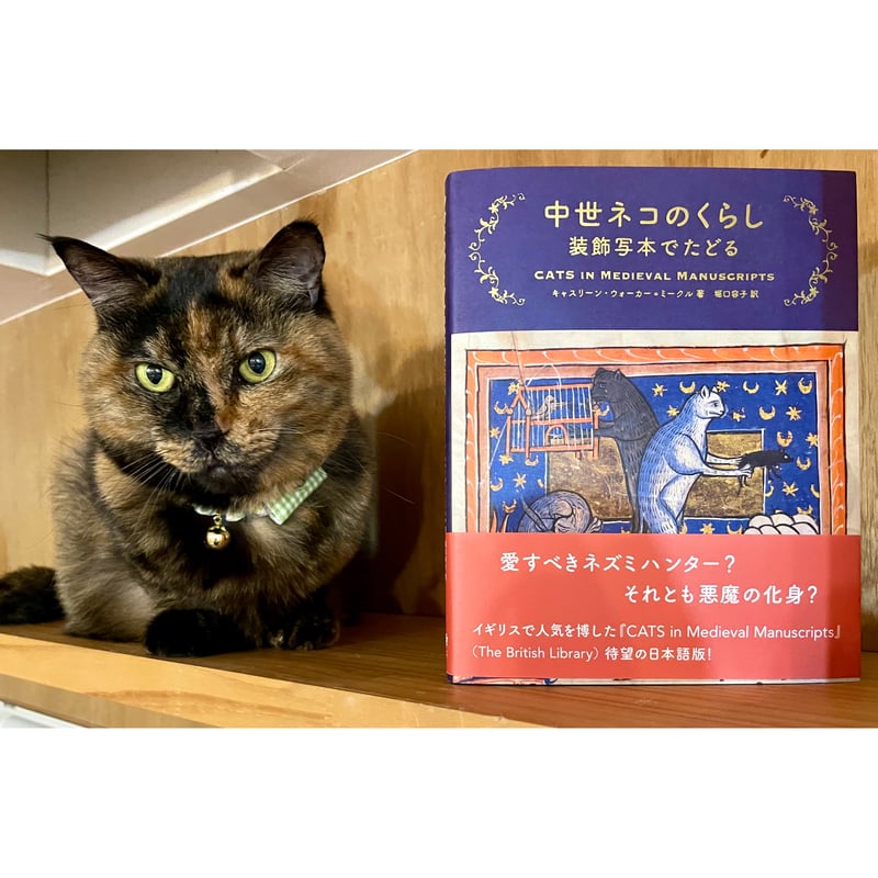 中世ネコのくらし 装飾写本でたどる | Cat's Meow Books Virtual