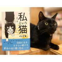 私という猫 ～終の道～