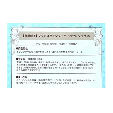 【有機種子】レッドオラッシュ／ヤマホウレンソウ 赤 (ベビーリーフ) 約130粒 ※レターパックライト発送可能