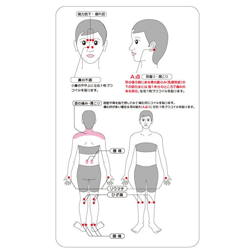 ブラックアイ6個入(専用貼付シール30枚入) ※レターパックライト