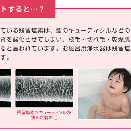 【ゼンケン】浄水シャワー・ピュアストリーム3  -CF-12N- (64487)