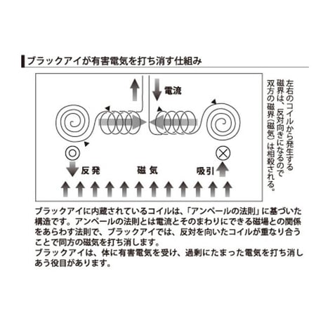 ブラックアイ6個入(専用貼付シール30枚入) ※レターパックライト発送可能
