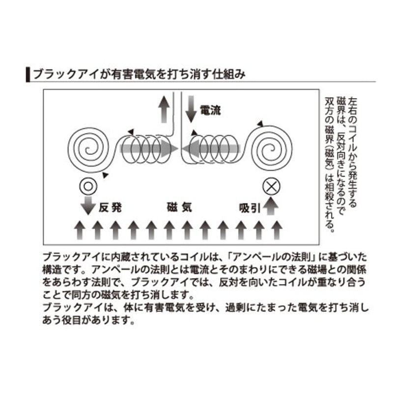 ブラックアイ6個入(専用貼付シール30枚入) ※レターパックライト