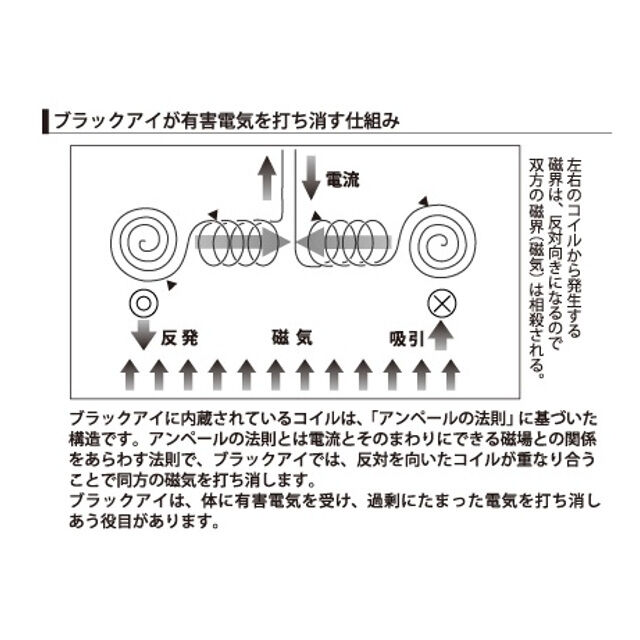 ブラックアイ6個入(専用貼付シール30枚入) ※レターパックライト発送