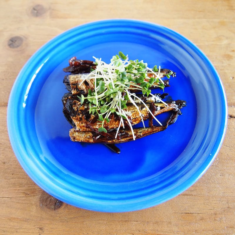 森修焼 プレート 森修焼 ひかりのプレート おいちーこ【コラボ商品】 –