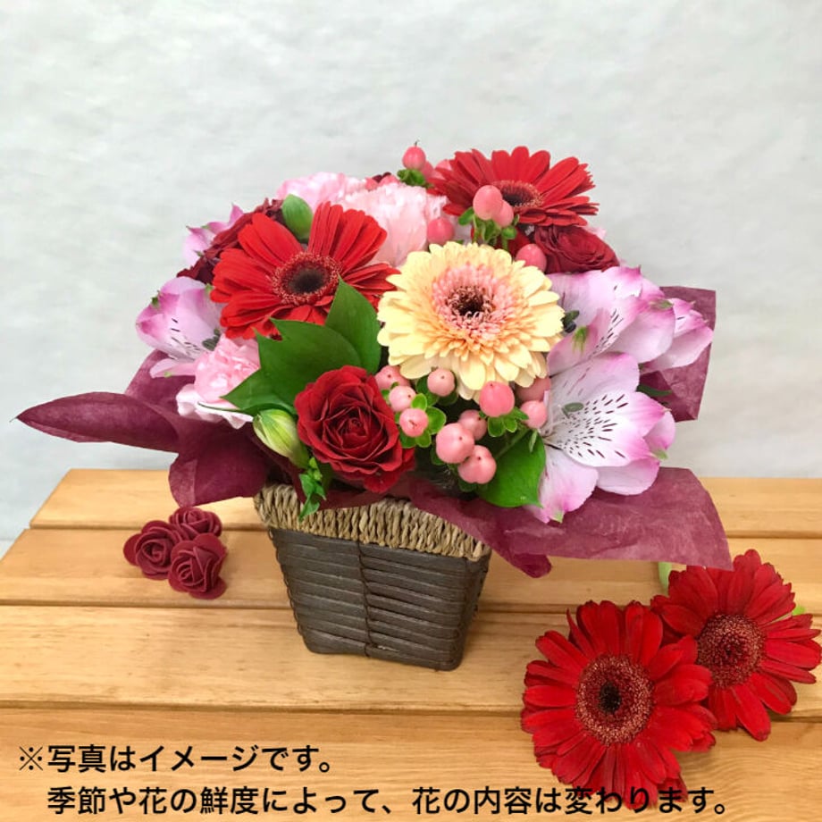 618f8055a92a7809f63c77a1