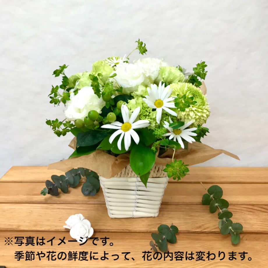 6190f34754ddd837786268f0