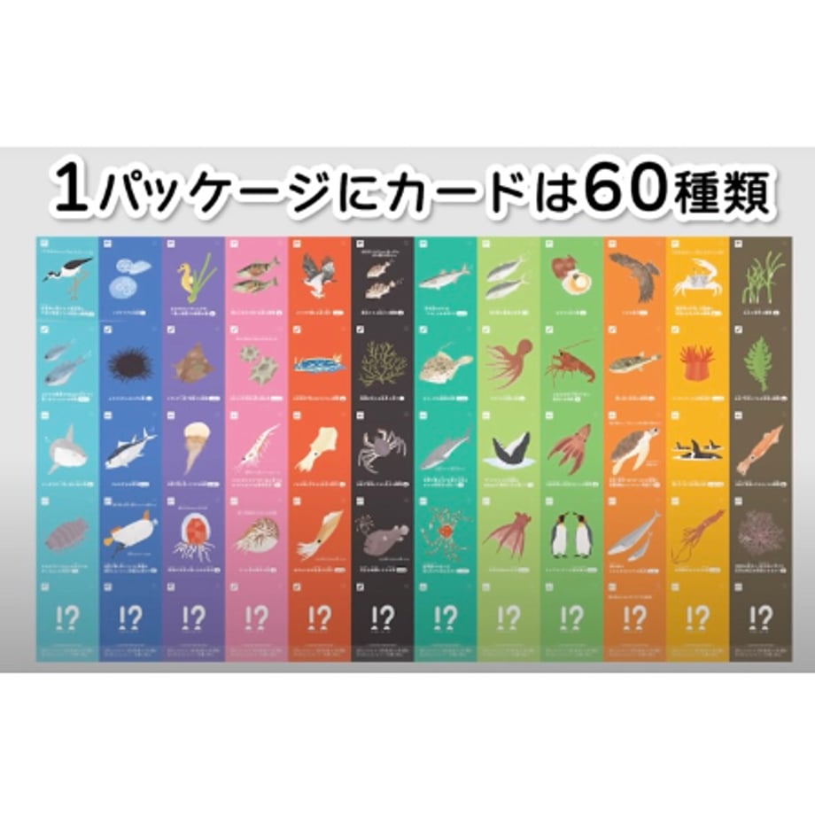 673fe234fb3f2d03017f4e85