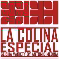グアテマラ／ラ コリーナ ゲイシャ エスぺシャル