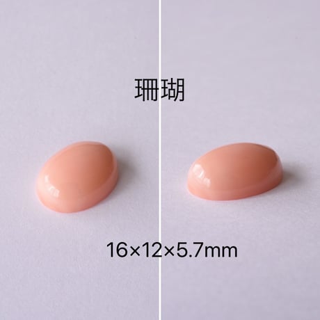 【T様オーダー専用】