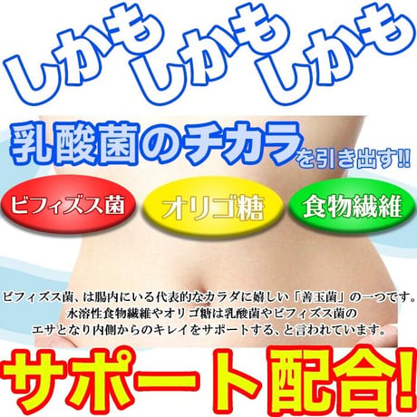 1粒でヨーグルト5個分!!約50億個以上の乳酸菌配合♪乳酸菌18種！乳酸菌の力を引き出すビフィズス菌、食物繊維、オリゴ糖入り！食べる菌活系サプリメント【メガ盛り★乳酸菌サプリメントどっさり約4ヶ月分】
