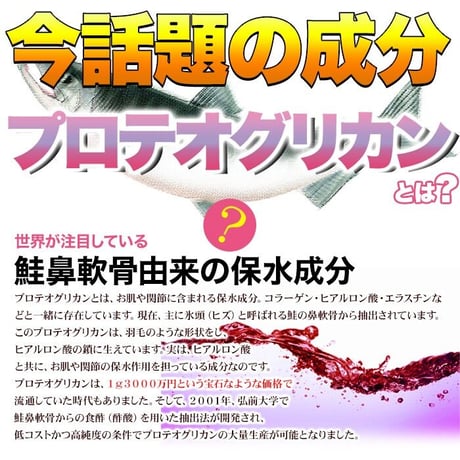 コラーゲン・ヒアルロン酸に次ぐ次世代成分プロテオグリカン!!コラーゲンとプラセンタも配合し美容をしっかりサポート!!たっぷり4ヵ月分!!【メガ盛り★プロテオグリカン約4ヵ月分】