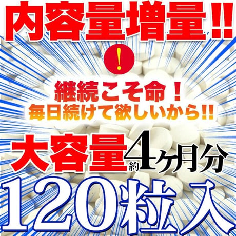 1粒でヨーグルト5個分!!約50億個以上の乳酸菌配合♪乳酸菌18種！乳酸菌の力を引き出すビフィズス菌、食物繊維、オリゴ糖入り！食べる菌活系サプリメント【メガ盛り★乳酸菌サプリメントどっさり約4ヶ月分】