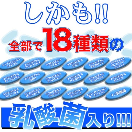 1粒でヨーグルト5個分!!約50億個以上の乳酸菌配合♪乳酸菌18種！乳酸菌の力を引き出すビフィズス菌、食物繊維、オリゴ糖入り！食べる菌活系サプリメント【メガ盛り★乳酸菌サプリメントどっさり約4ヶ月分】