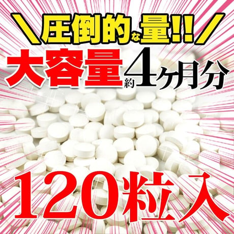 コラーゲン・ヒアルロン酸に次ぐ次世代成分プロテオグリカン!!コラーゲンとプラセンタも配合し美容をしっかりサポート!!たっぷり4ヵ月分!!【メガ盛り★プロテオグリカン約4ヵ月分】