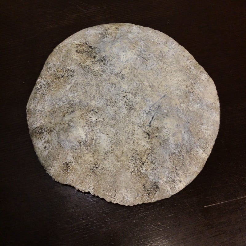 8寸皿佐藤尚理さん