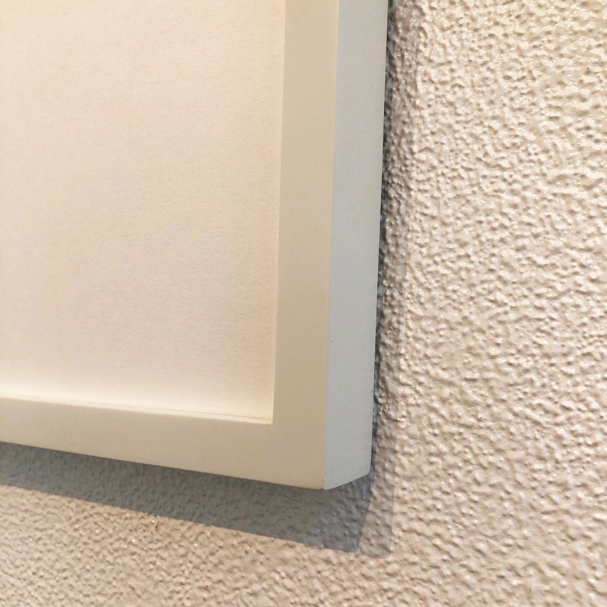 フレーム アルダー11 白艶消し / 三々 | Call