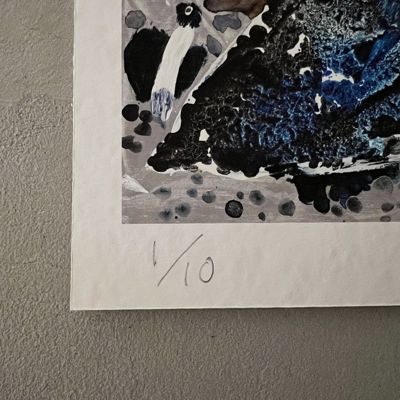 ミロコマチコ/mirocomachiko ジークレー版画『鳥との対話』( Edition No