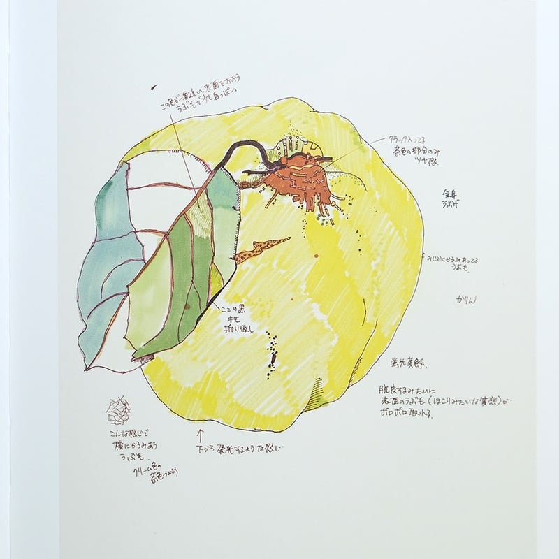 栗原由子 作品集「自ずから然る」 直筆サイン入り | Call