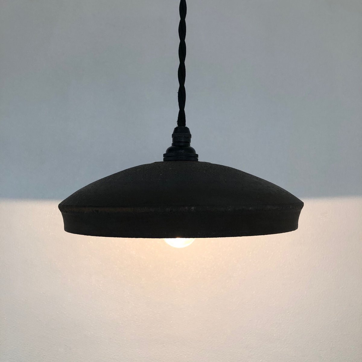 【コレクション株】 現地球 コミフォラ グイドッティ 活着済 船串篤司 作家鉢 コレクション株】 現地球 コミフォラ グイドッティ 活着済 船串篤司