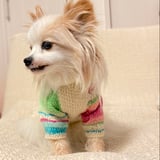 はちる工房