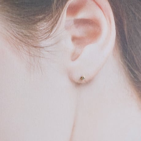 小粒ダイヤモンドの六本爪ピアス