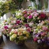 printemps