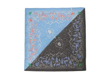 h243-901 Bandanna