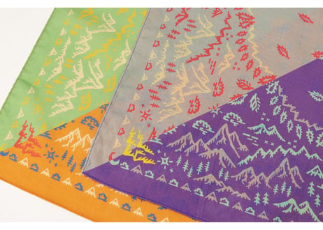 h243-901 Bandanna