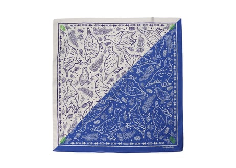 h243-901 Bandanna