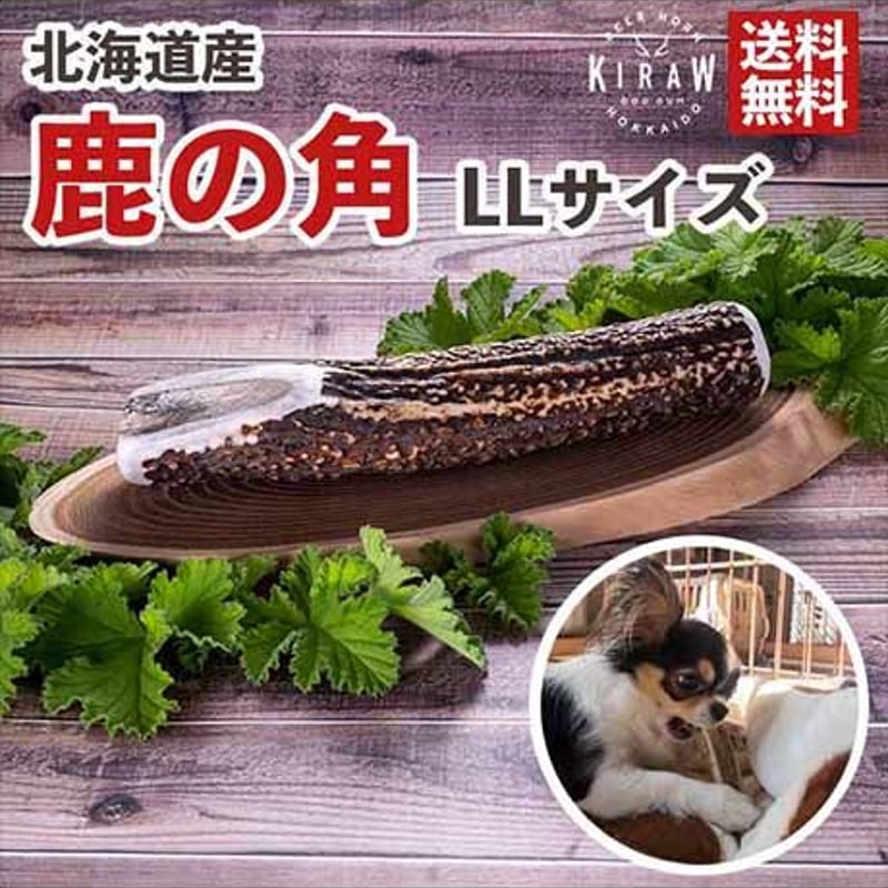 LLサイズ 約20cm】北海道産 鹿の角ガム 大型犬用 | KIRAW LLサイズ 約20cm】北海道産 鹿の角ガム 大型犬用 | KIRAW