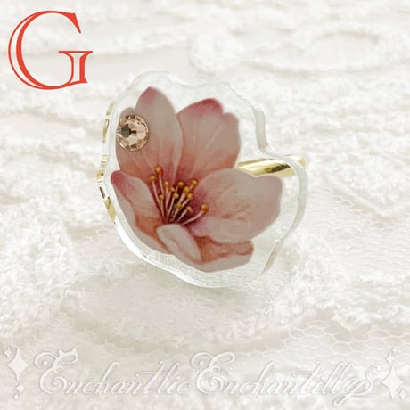 Dolled Up Ring  (桜シリーズ)