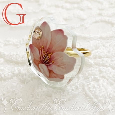 Dolled Up Ring  (桜シリーズ)