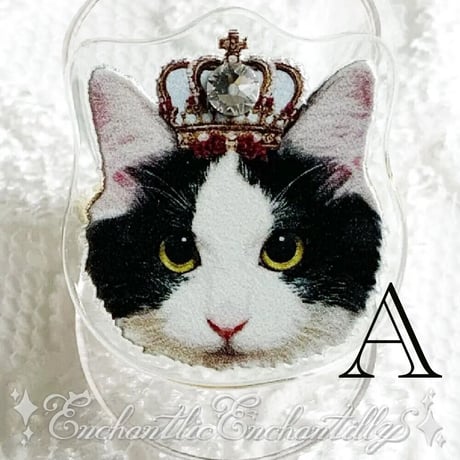 Dolled Up Ring  〜　猫シリーズ